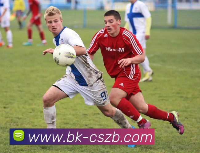 App Interface Preview